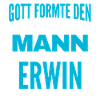 Erwin Name Design