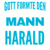 Harald Name Design