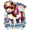 Shetland Pony