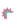 Fun