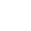 Burmilla Cat Mom