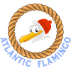 Atlantic Flamingo Funny Seagulls Design