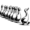 Duck March