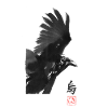 Crow Square