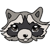 Raccoon head