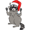 Raccoon with Santa hat