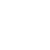 Year 2017