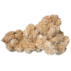 Sand Rose Crystal Sand Gypsum Barite Mineral