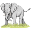 Éléphant