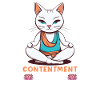 Yoga Mindfulness Practic Meditation Manifestation