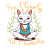 Yoga Mindfulness Practic Meditation Manifestation