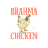 Crazy Brahma Chicken Lady - Brahma