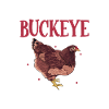 Crazy Buckeye Lady - Buckeye