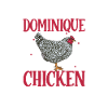 Crazy Dominique Chicken Lady - Dominique