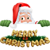 Merry Christmass