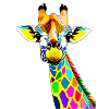 Giraffe Farben