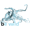 be wild octopus