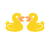 J'aime les canards