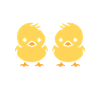 J'aime les poussins