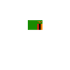 Zambia Zambia Flag Zambian