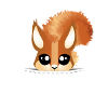 Curious squirrel popping up
