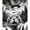 Alien UFO Aliens Außerirdischer