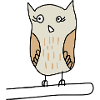 Owl, on a branch, children