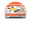 Collectionneur de disques vinyles