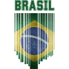 Brazilian flag, Brazilian pride