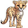 Young Cheetah