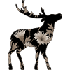 Hirsch