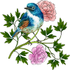 Bunter Vogel