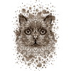 Katze