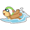 Lunettes de natation Bear