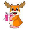 Hamster Christmas Package