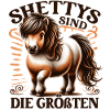 Shetland Pony