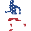 Sport Us Flag Running
