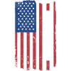Sport Us Flag Running