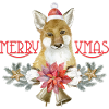 Merry Xmas