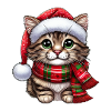 Chat Père Noël