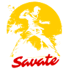 Martial Arts France: Savate Fighter