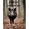 sanglier et chasseur