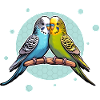 Perruches, Perruches, Perroquets, Oiseaux