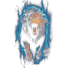 Lion, Fire, Blue, Male
