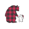 Big Brother Bear