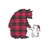 Big Sister Bear