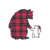 Momma Bear