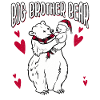 Big Brother Bear