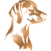 Magyar Vizsla drawing head bronze