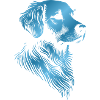 Golden Retriever Drawing Head Blue